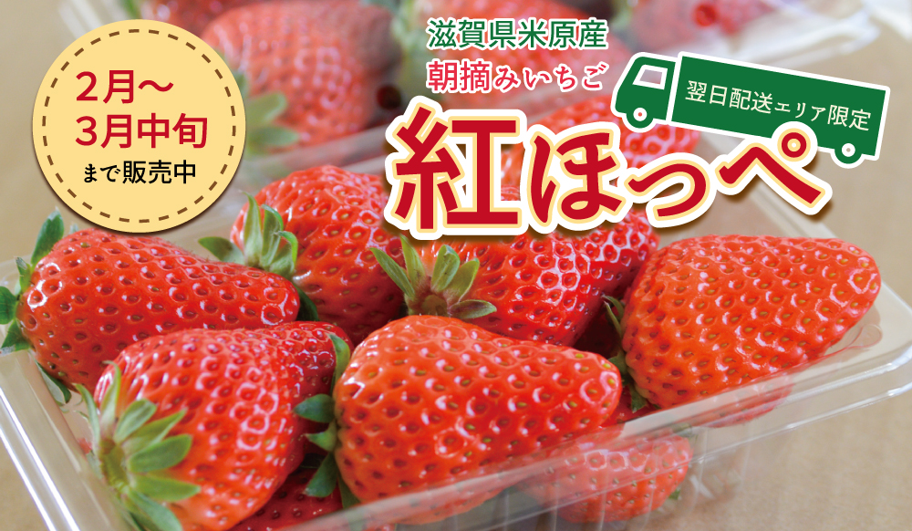 しあり イチゴ様 専用の通販 by ゆのゆの♡shop｜ラクマ スクラップ - www.tehnopribor.ru
