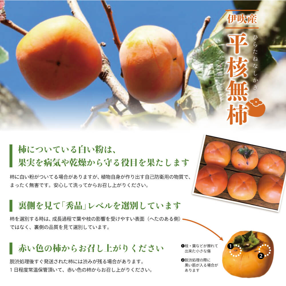 滋賀県米原産 平たねなし柿 Orite米原
